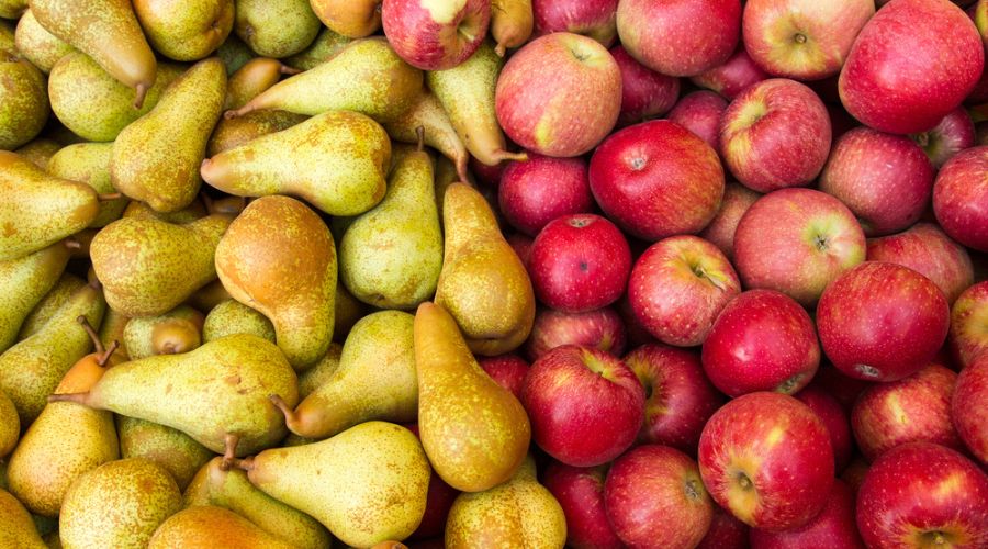 British Apples & Pears launches manifesto ahead of general election