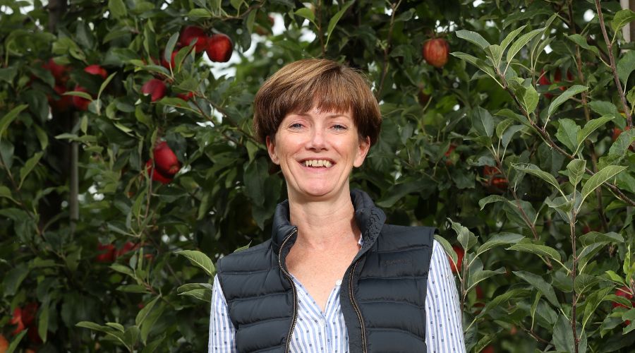 Ali Capperexecutive chair of British Apples & Pears Limited 
