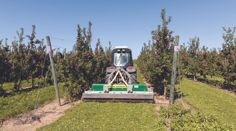 major cyclone mower between rows in an apple orchard