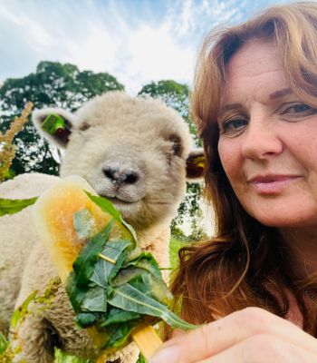 Heidi bell with Babydoll sheep