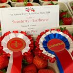 Hertfordshire-based berry producer-marketer, BerryWorld, is celebrating scooping numerous awards at the National Cherry and Soft Fruit Show. 