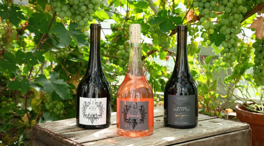 Hotel chain The Pig has announced launch of its first wines, Alpaca Block Chardonnay, Alpaca Block Field Blend Rosé, and Where Eagles Fly.