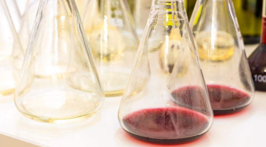 Campden BRI invests in UK wine industry by opening a new dedicated wine laboratory and tasting centre in Guildford.