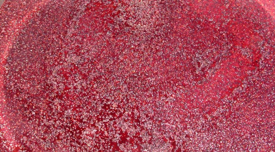 close up of fermenting red wine 