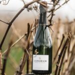 Langham Wine Estate has launched its new release of Blanc de Blancs NV, produced entirely from Chardonnay grown at its Dorset vineyard.  