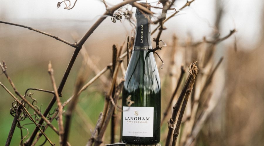 Langham Wine Estate has launched its new release of Blanc de Blancs NV, produced entirely from Chardonnay grown at its Dorset vineyard.  