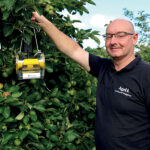 Codling moth control