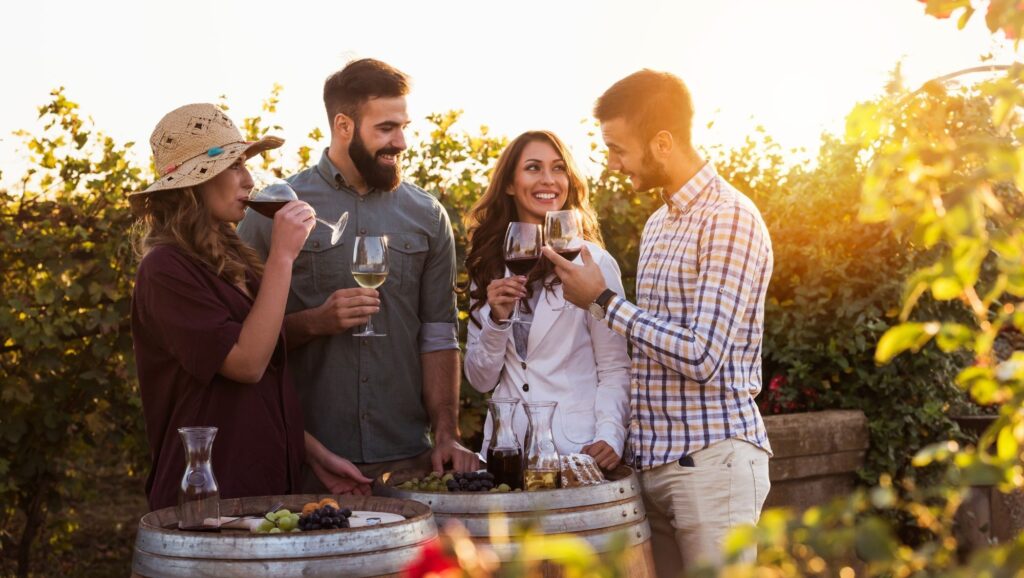 group of people drinking wine in a vineyard with sun in the background