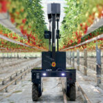 robot in a strawberry farm