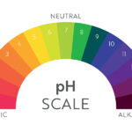 pH Scale