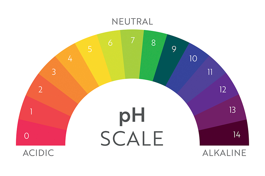 pH Scale