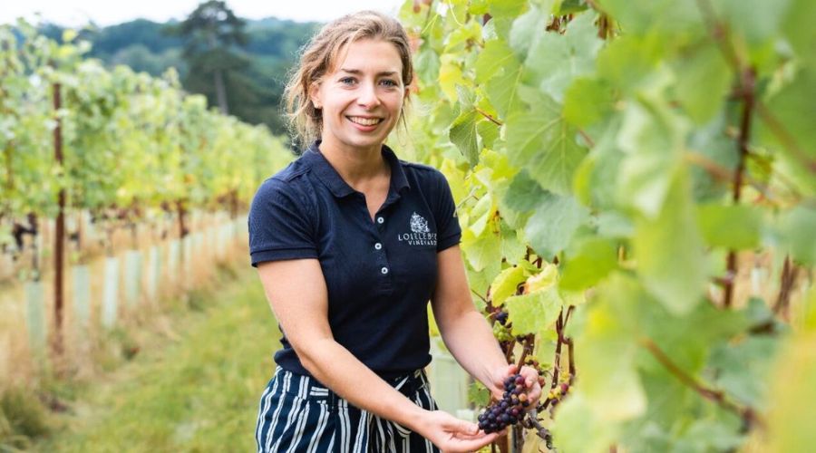 The owner of a traditional arable family farm in Hertfordshire, Lockley Farm, has made her dream come true by planting a vineyard. 