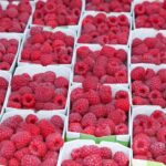 US-based global soft fruit supplier, Driscoll, has officially launched its brand in the UK following the acquisition of Berry Gardens Limited in 2022. 