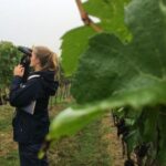 University of East Anglia researchers hid speakers in vineyards along tour routes as a part of latest biodiversity research.