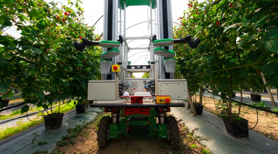 A Cambridge-based developer of harvesting robots, Fieldwork Robotics, has announced its latest collaboration with Burro.