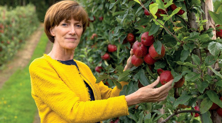 Sarah Kidby spoke to apple and pear growers as well as British Apples and Pears Limited (BAPL) for an update on this year’s harvest.