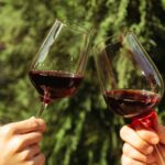 The Wine and Spirit Trade Association (WSTA) and Wine Jobs UK have announced they are teaming up to help drink industry.