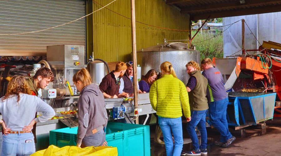 Agriculture students from Hartpury University made a cider, crafted using apples grown on Hartpury’s heritage orchard.