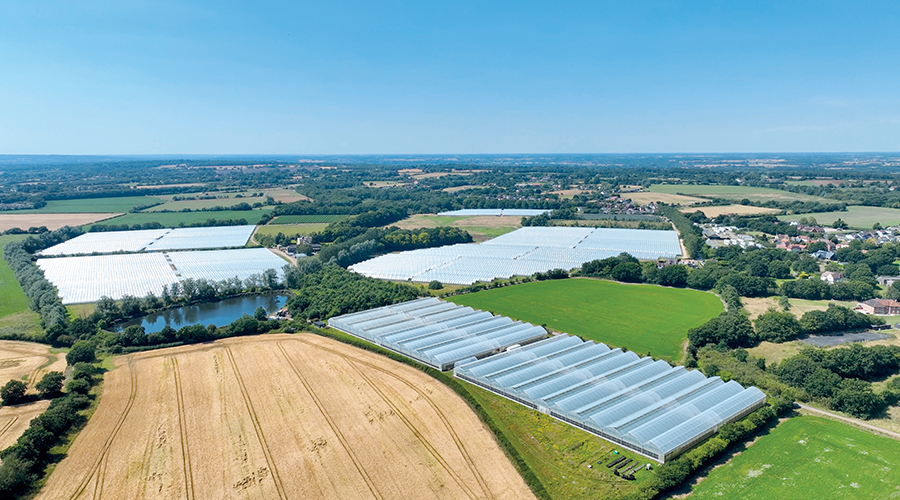 Tiptree farm