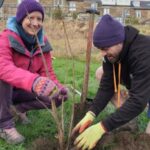 woman and man planting a fruit tree