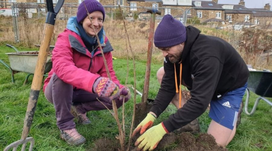 woman and man planting a fruit tree