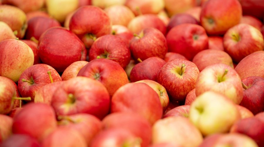 The latest data from British Apples & Pears Limited (BAPL) has revealed which retailers were best at backing British apple growers.