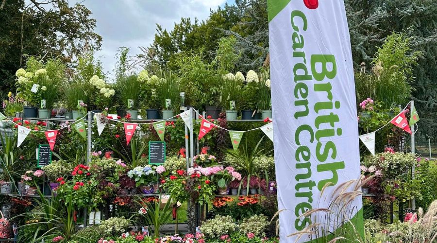 British Garden Centres announced acquisition of former Dobbies sites in Havant and Morpeth. This takes the group up to 70 centres.