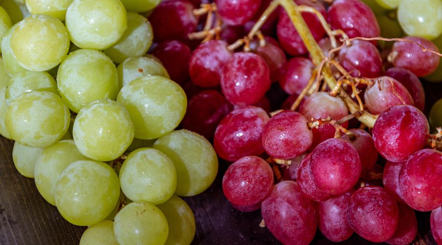 The biggest ever survey into Brits’ grape-buying preferences is underway by Tesco to establish exactly what it is that consumers want.