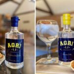 On the left a bottle of Olly Harrison's Agricontract London Dry Gin in a clear bottle with navy and yellow label. On the right, a bottle of Agricontract honey gin