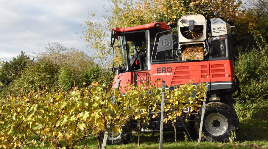 Fruit & Vine recently spent a morning at Greyfriars Vineyard in Guildford, Surrey where NP Seymour hosted a demo day.