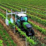 Veenow Vineyard has become the first operator and sales agent of the UV Boosting technology.